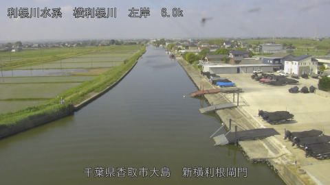 yoko2026051609_image