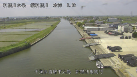 yoko2026051611_image