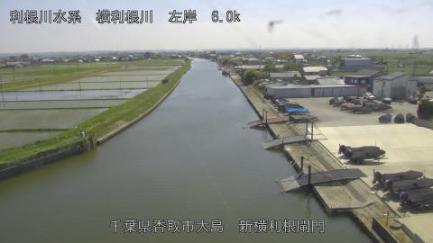 yoko2026051614_image