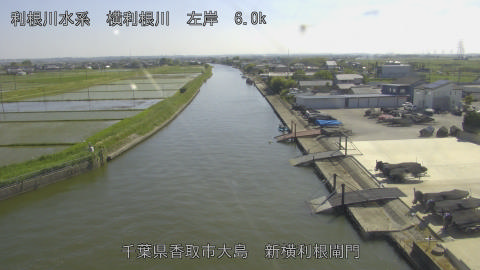 yoko2026051615_image