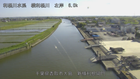 yoko2026051616_image