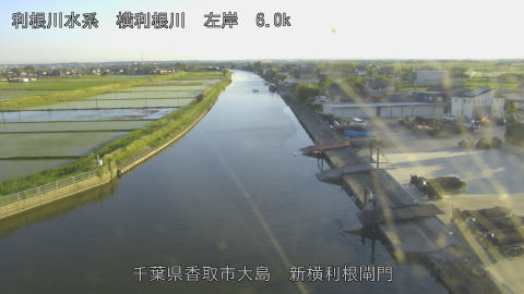 yoko2026051618_image