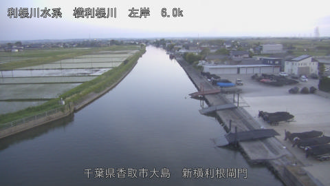 yoko2026051619_image