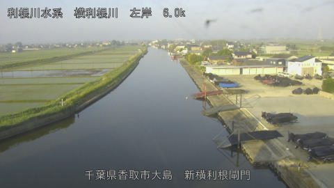 yoko2026051706_image