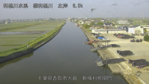 yoko2026051707_image