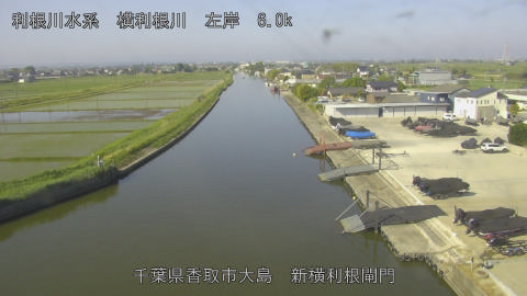 yoko2026051708_image