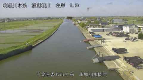 yoko2026051709_image