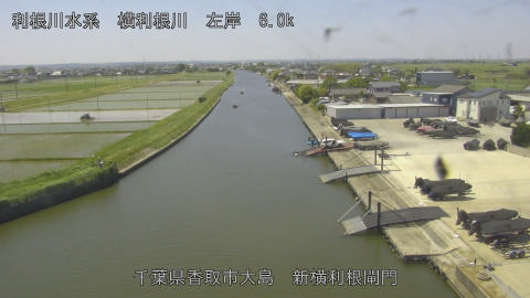 yoko2026051711_image
