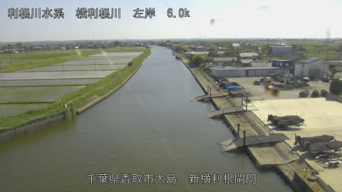 yoko2026051715_image