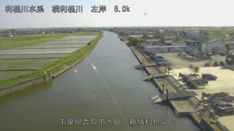 yoko2026051716_image