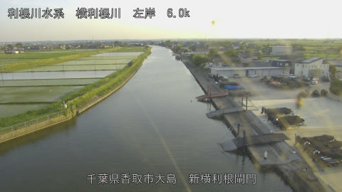 yoko2026051718_image