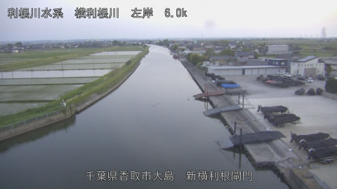yoko2026051719_image