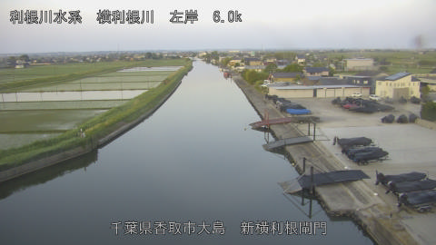 yoko2026051905_image