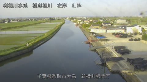 yoko2026051906_image