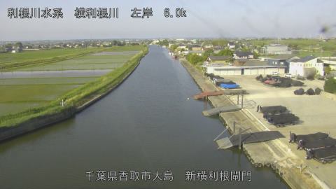 yoko2026051907_image