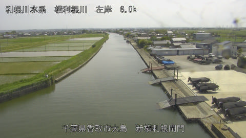 yoko2026051914_image
