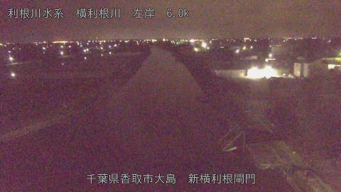 yoko2026052001_image