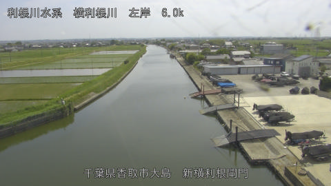 yoko2026052014_image