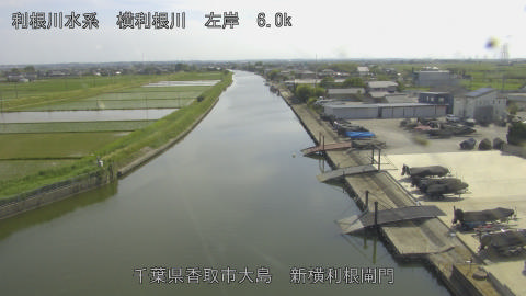 yoko2026052015_image