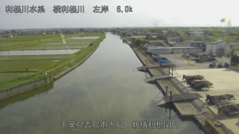 yoko2026052016_image