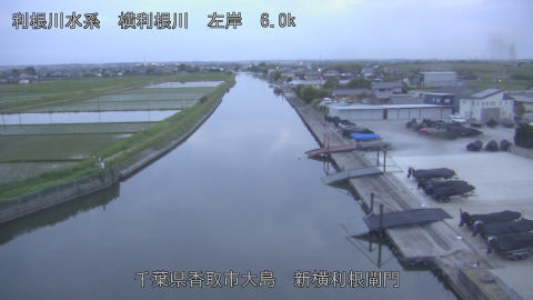 yoko2026052019_image