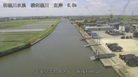 yoko2026052311_image