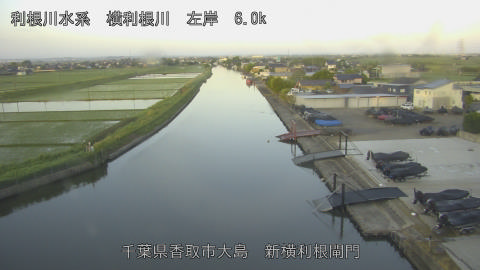 yoko2026052505_image