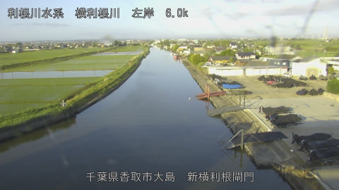 yoko2026052506_image