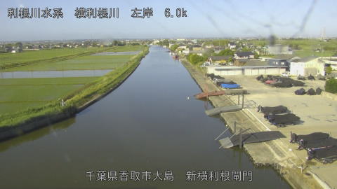 yoko2026052507_image
