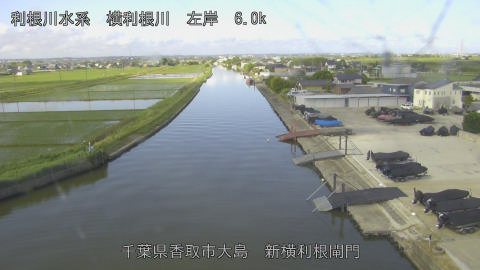 yoko2026052508_image