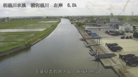 yoko2026052511_image