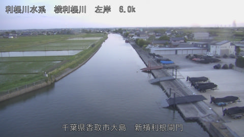yoko2026052519_image