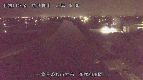 yoko2026052601_image