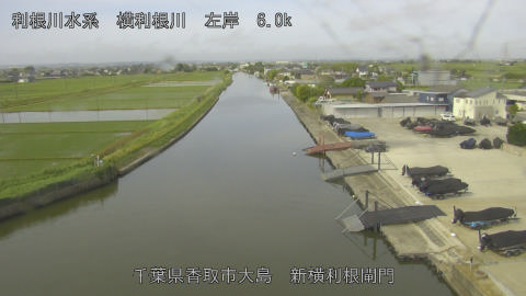 yoko2026052608_image