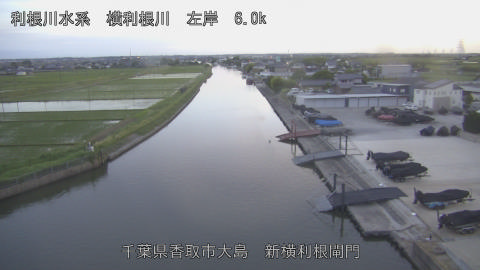 yoko2026052619_image