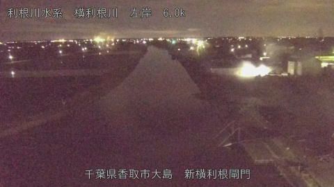 yoko2026052621_image