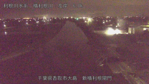 yoko2026052701_image