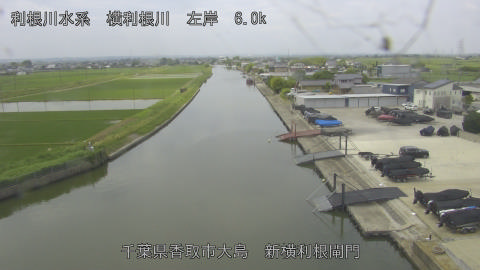 yoko2026052911_image