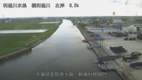 yoko2026052917_image
