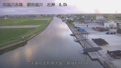 yoko2026052919_image