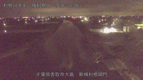 yoko2026053001_image