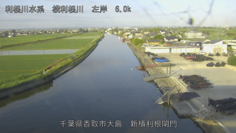 yoko2026053006_image