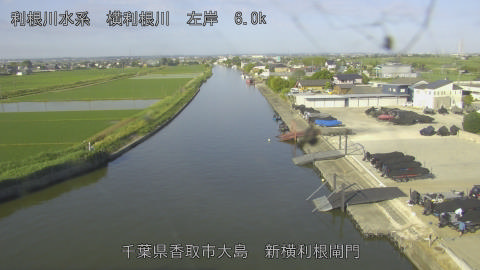 yoko2026053007_image
