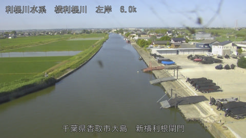 yoko2026053008_image