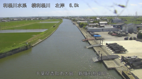 yoko2026053014_image