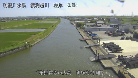 yoko2026053015_image
