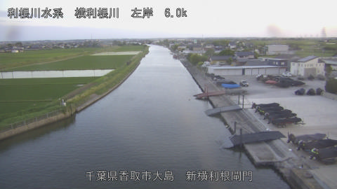 yoko2026053019_image