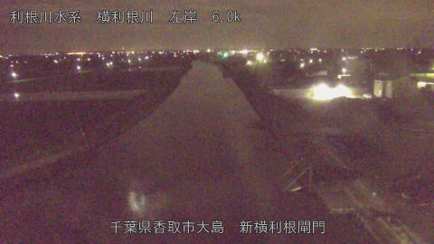 yoko2026053101_image