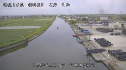 yoko2026053105_image