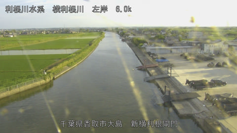 yoko2026053118_image